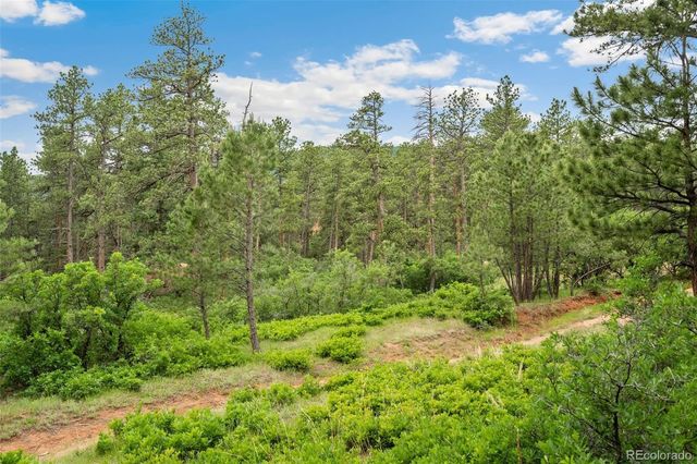4580 Delaware Drive, Larkspur, CO 80118