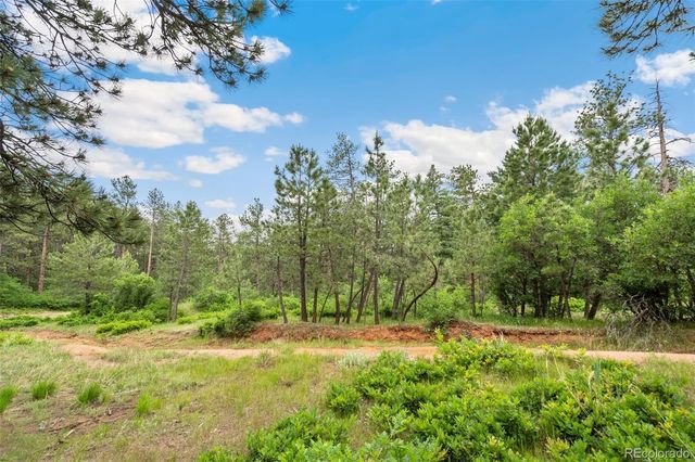 4580 Delaware Drive, Larkspur, CO 80118