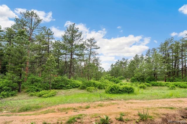 4580 Delaware Drive, Larkspur, CO 80118