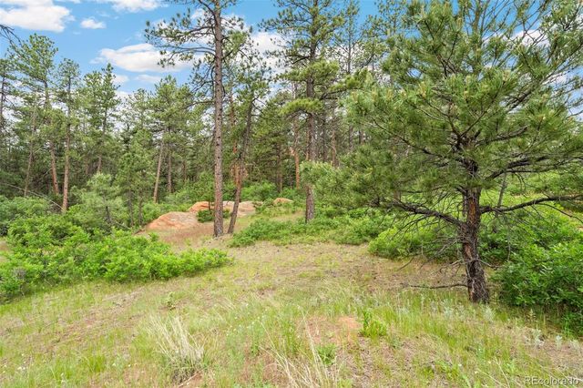4580 Delaware Drive, Larkspur, CO 80118