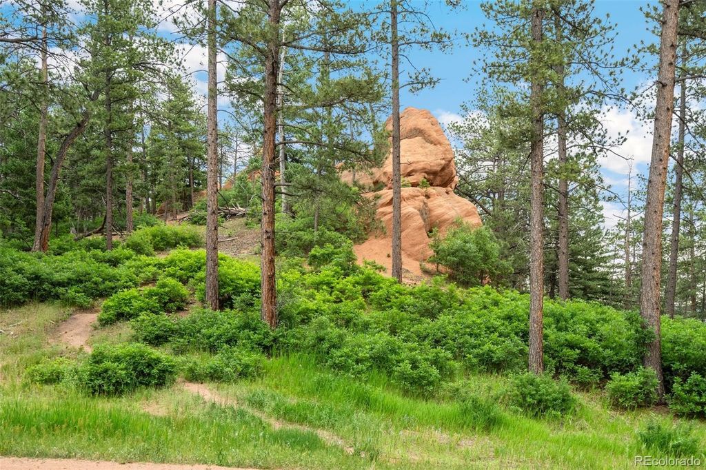 4580 Delaware Drive, Larkspur, CO 80118