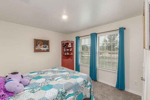 213 Pintail Drive, Caddo Mills, TX 75135