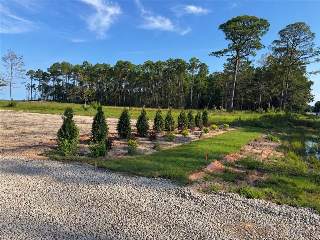 0 Dauphin Island Parkway, Coden, AL 36523 — photo 5