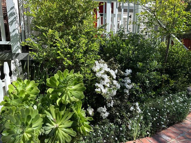 928930 Scott Street, Palo Alto, CA 94301