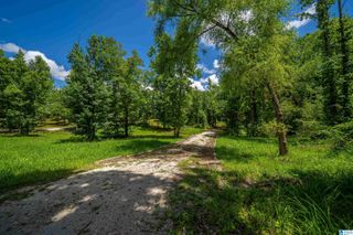 0 COUNTY ROAD 336, Piedmont, AL 36272