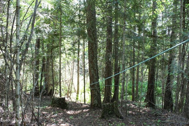 788 Gold Cup Mountain Rd, Priest River, ID 83856