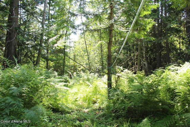788 Gold Cup Mountain Rd, Priest River, ID 83856