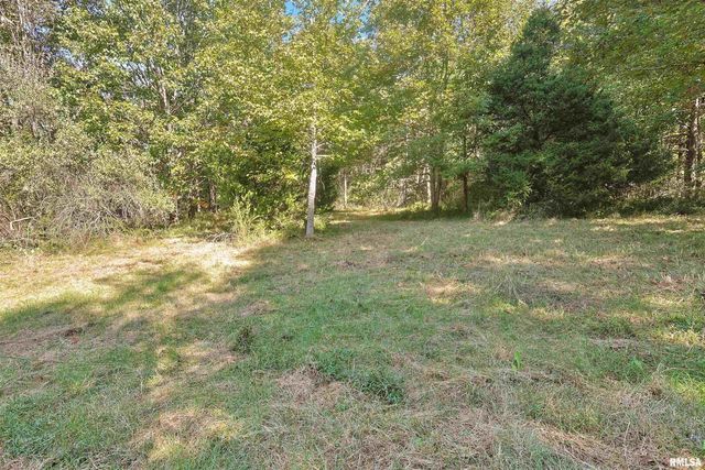 00 Winstead Road, Cobden, IL 62920