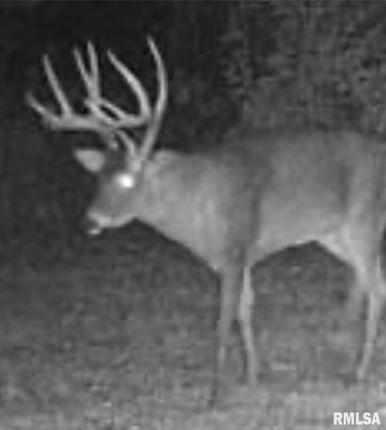 00 Winstead Road, Cobden, IL 62920