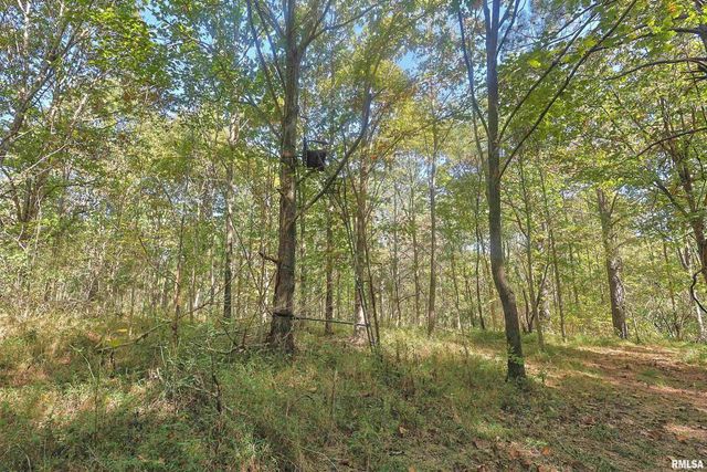 00 Winstead Road, Cobden, IL 62920