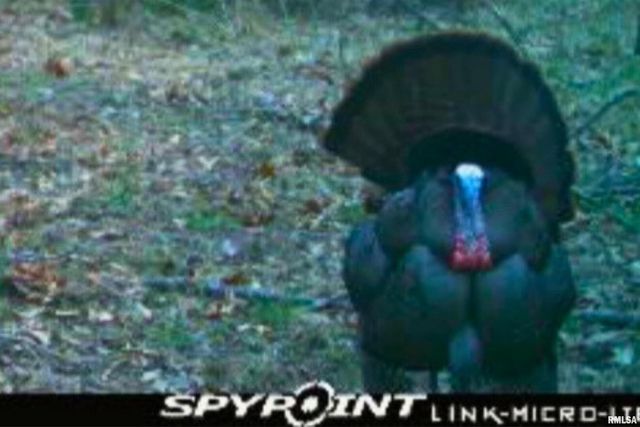 00 Winstead Road, Cobden, IL 62920