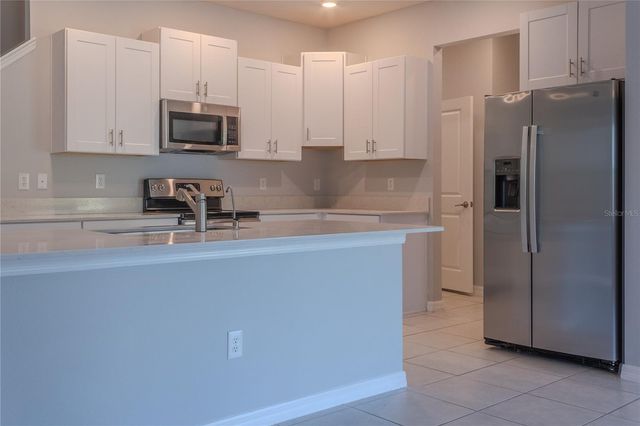 17711 NECTAR FLUME DRIVE, Land O Lakes, FL 34638