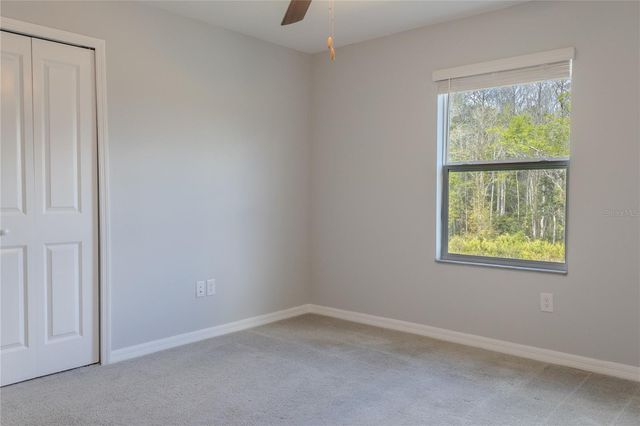 17711 NECTAR FLUME DRIVE, Land O Lakes, FL 34638