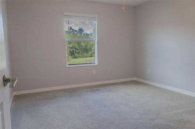 17711 NECTAR FLUME DRIVE, Land O Lakes, FL 34638