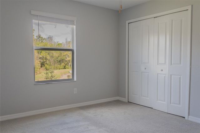 17711 NECTAR FLUME DRIVE, Land O Lakes, FL 34638