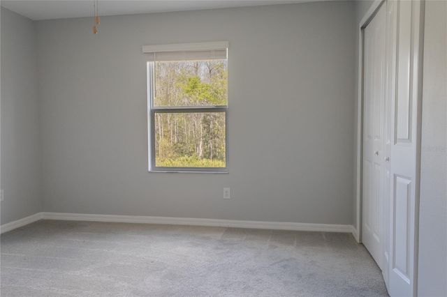 17711 NECTAR FLUME DRIVE, Land O Lakes, FL 34638