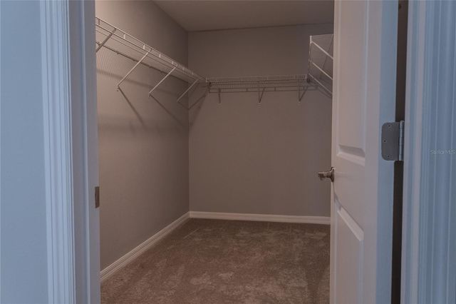 17711 NECTAR FLUME DRIVE, Land O Lakes, FL 34638