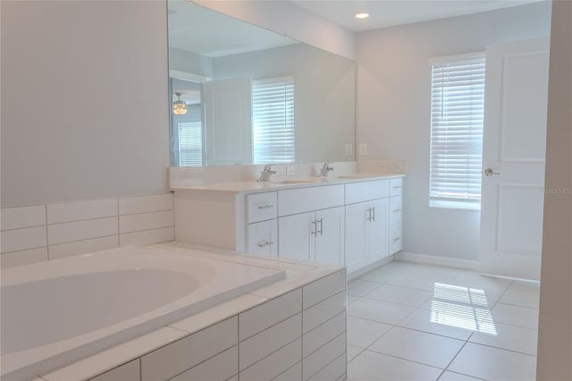 17711 NECTAR FLUME DRIVE, Land O Lakes, FL 34638