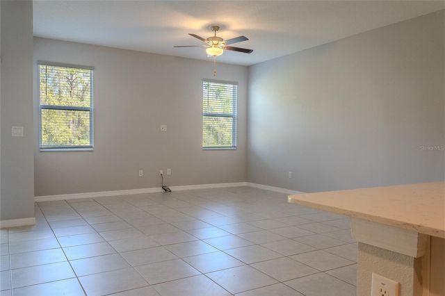 17711 NECTAR FLUME DRIVE, Land O Lakes, FL 34638