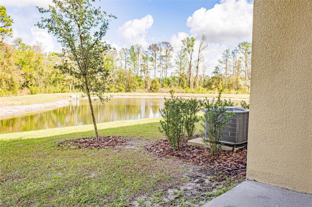 17711 NECTAR FLUME DRIVE, Land O Lakes, FL 34638