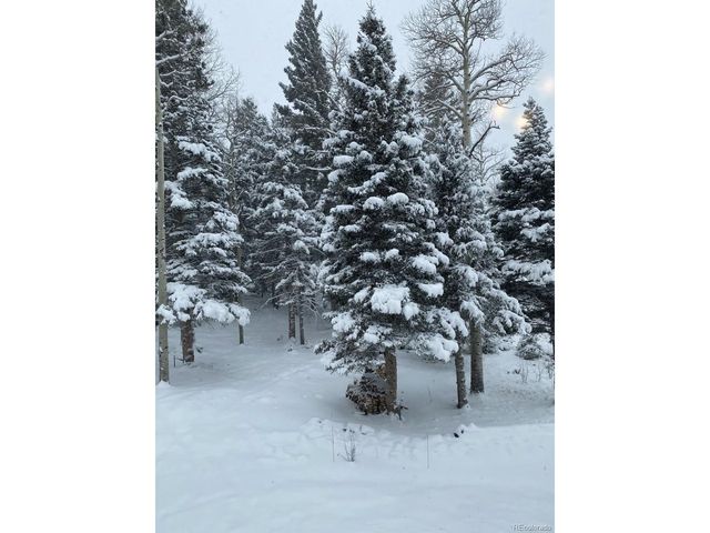 2842 Wendt Ln, Fort Garland, CO 81133