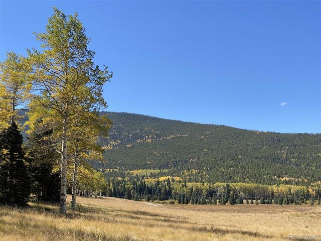 2842 Wendt Ln, Fort Garland, CO 81133