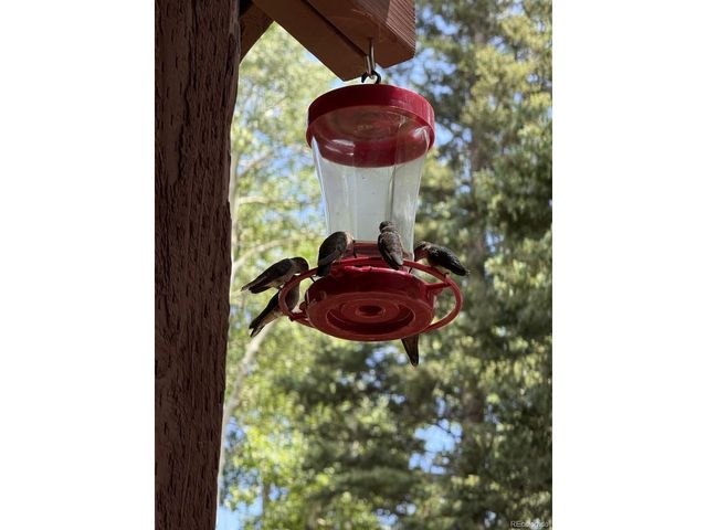 2842 Wendt Ln, Fort Garland, CO 81133