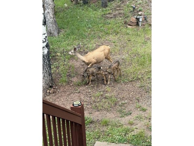 2842 Wendt Ln, Fort Garland, CO 81133