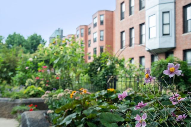 209 W Canton St 3, Boston, MA 02116