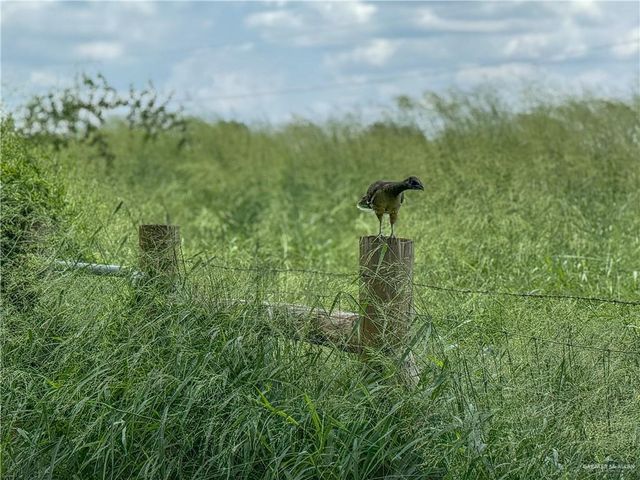 13307 Ash Avenue, Edinburg, TX 78542