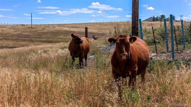 2151 Elizabeth Drive, Parker, CO 80138