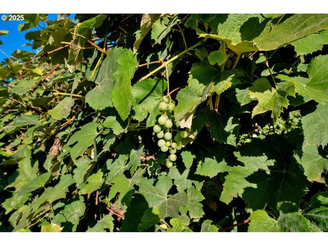 2995 MOLALLA Rd, Woodburn, OR 97071