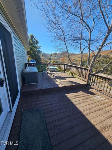 165 Sun Valley Street, Cedar Bluff, VA 24609