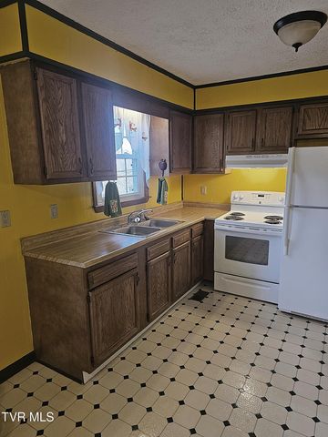 165 Sun Valley Street, Cedar Bluff, VA 24609