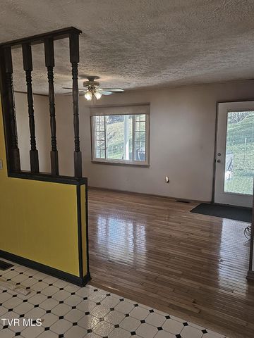 165 Sun Valley Street, Cedar Bluff, VA 24609