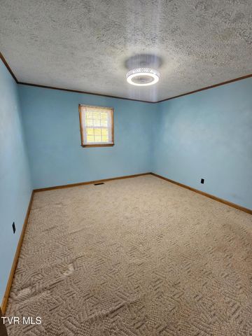 165 Sun Valley Street, Cedar Bluff, VA 24609