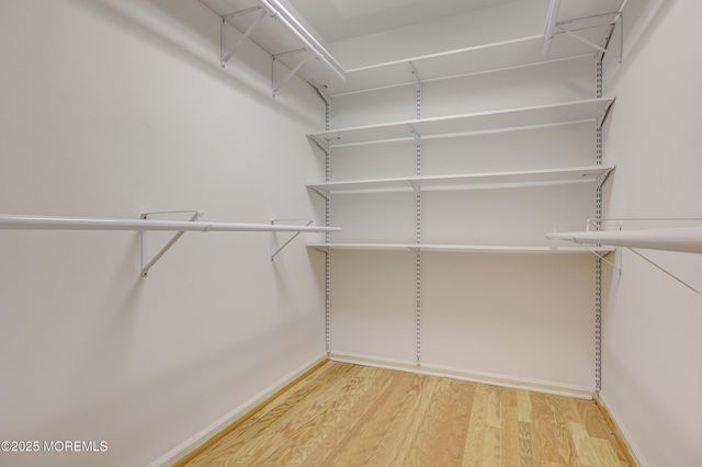 1665 Goldspire Road, Toms River, NJ 08755