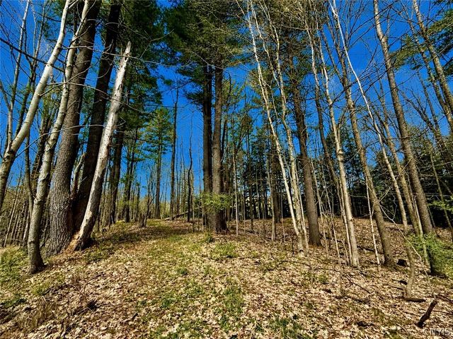 4251 Nelson Road, Nelson, NY 13035