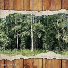 34380 Browns Lake Road, Soldotna, AK 99669