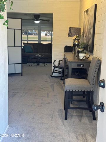 10022 W LAKEVIEW Circle N, Sun City, AZ 85351