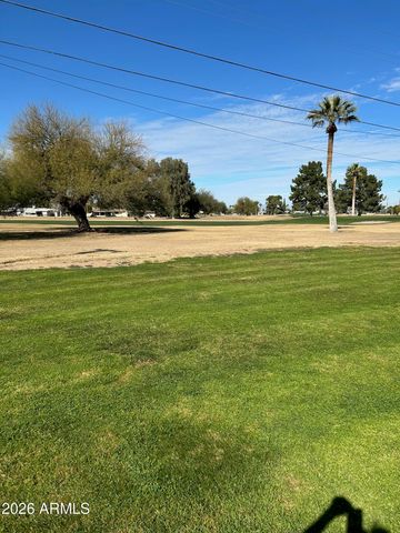 10022 W LAKEVIEW Circle N, Sun City, AZ 85351