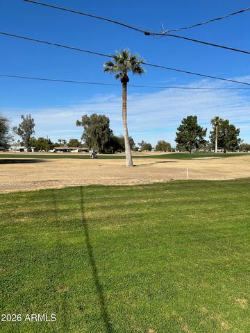 10022 W LAKEVIEW Circle N, Sun City, AZ 85351