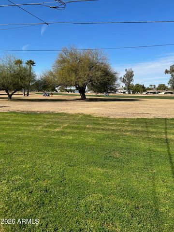 10022 W LAKEVIEW Circle N, Sun City, AZ 85351