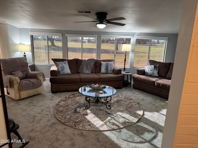 10022 W LAKEVIEW Circle N, Sun City, AZ 85351