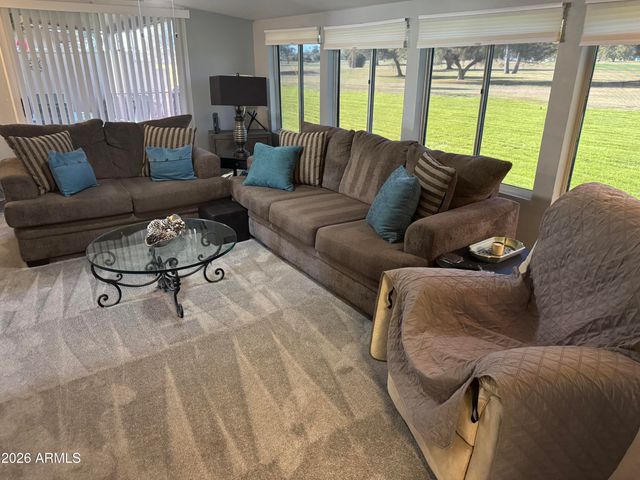 10022 W LAKEVIEW Circle N, Sun City, AZ 85351