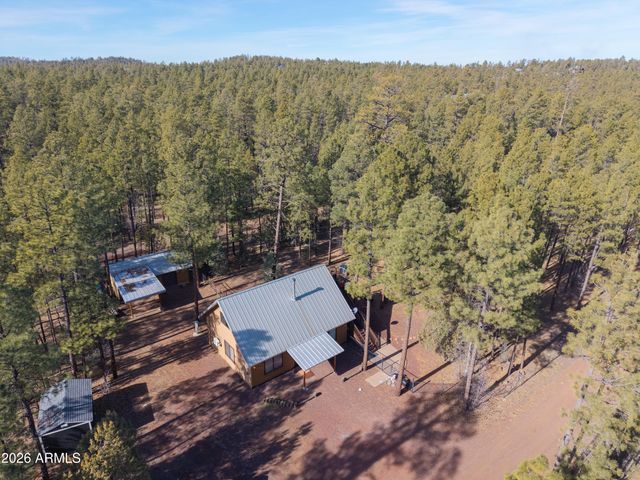 1442 Winter Pine Lane, Lakeside, AZ 85929