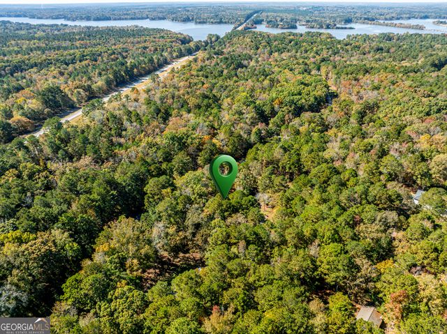 1151 Caboose Court, Greensboro, GA 30642