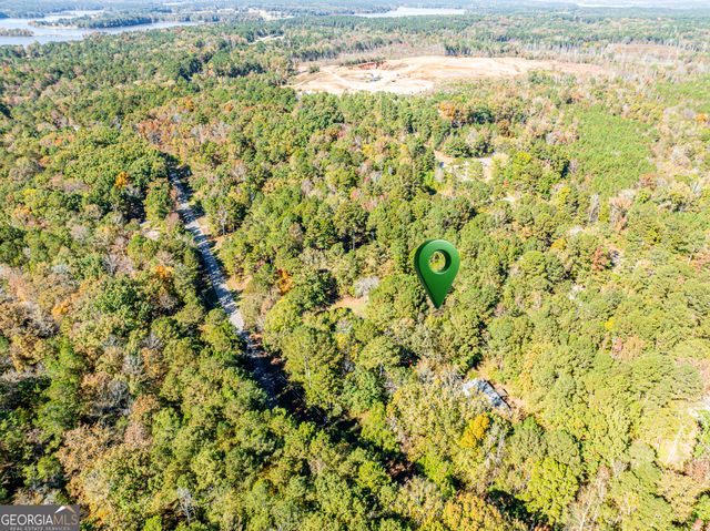 1151 Caboose Court, Greensboro, GA 30642