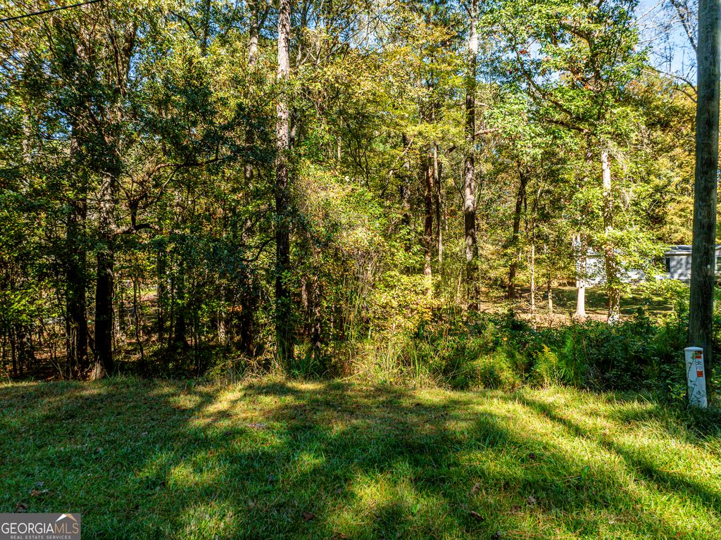 1151 Caboose Court, Greensboro, GA 30642