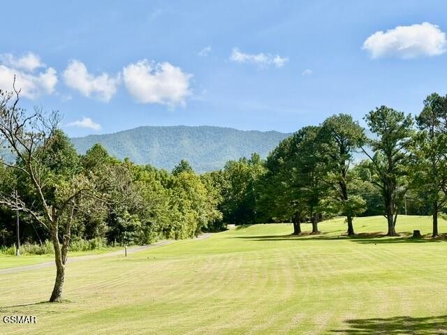139 Martha McCarter Road, Gatlinburg, TN 37738
